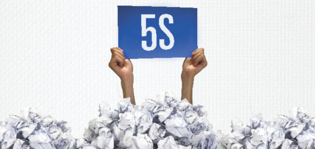 Programa 5S