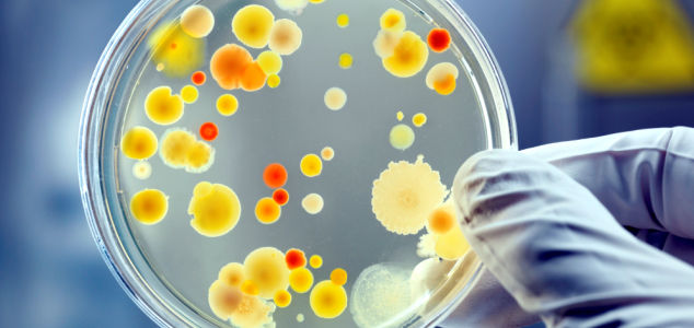 Curso B�sico de Microbiologia de alimentos
