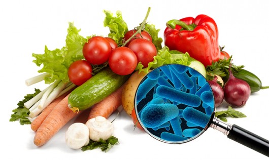 microbiologia de alimentos