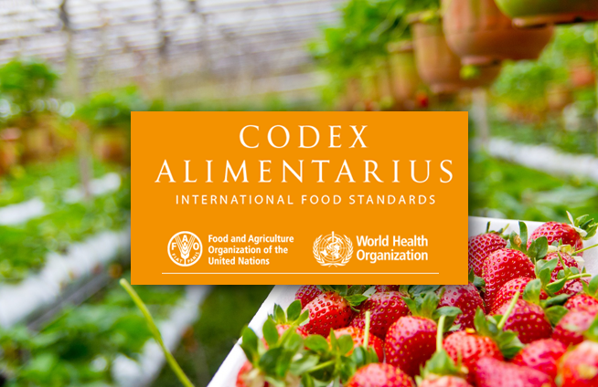 Brasileiro é reeleito para a presidência do Codex Alimentarius
