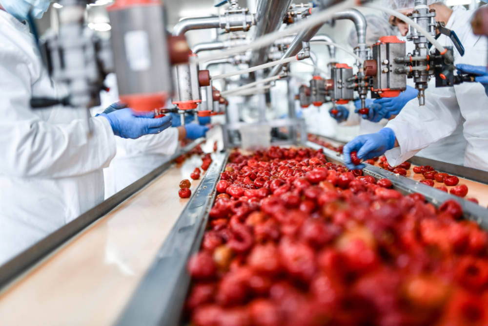 processamento de alimentos